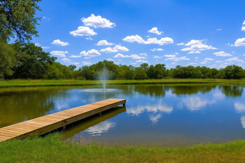 Local Christmas Lights Installation in Spicewood, TX