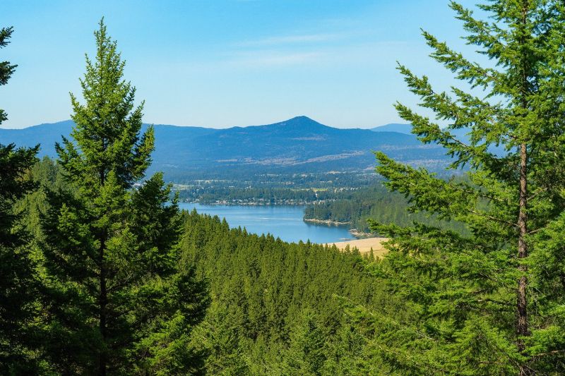 Local Christmas Lights Installation in Liberty Lake, WA