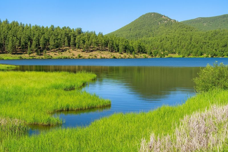 Local Christmas Lights Installation in Evergreen, CO