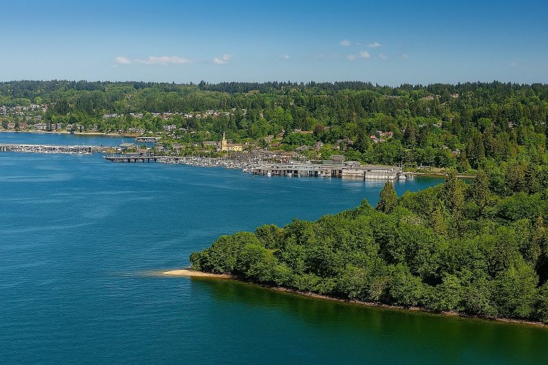 Local Christmas Lights Installation in Port Orchard, WA