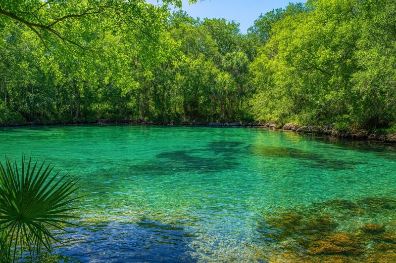 Local Holiday Lights Installation in Interlachen, FL