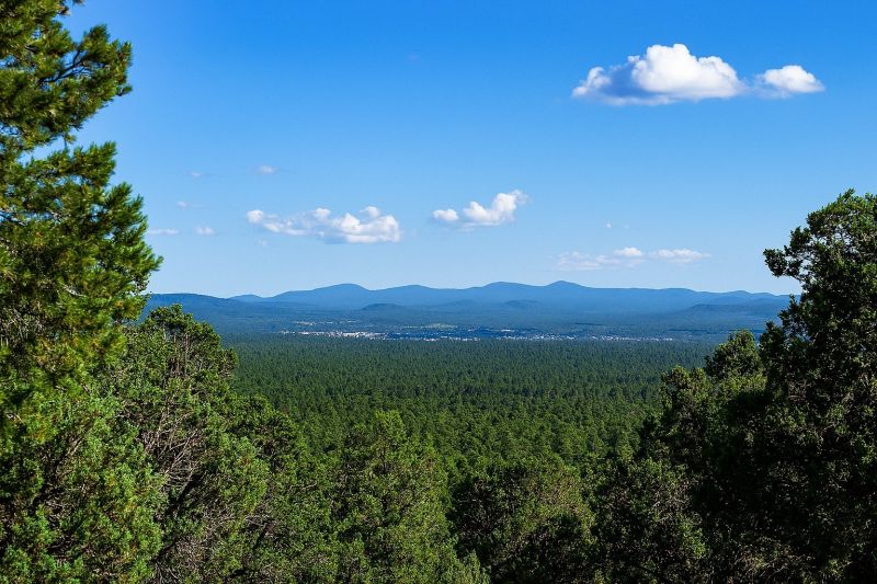 Local Holiday Lights Installation in Show Low, AZ